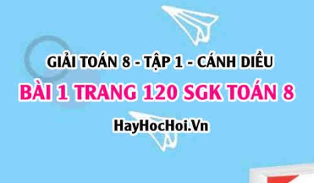 Giải bài 1 trang 120 Toán 8 Tập 1 SGK Cánh Diều